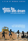 Где мечтают зеленые муравьи