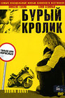 Бурый кролик